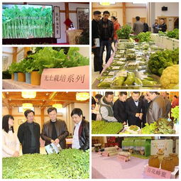 強(qiáng)豐生態(tài)農(nóng)莊春季農(nóng)副產(chǎn)品推介會(huì)圓滿舉行