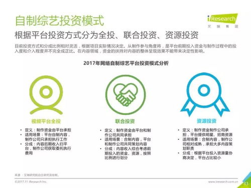 2017年中國網(wǎng)絡(luò)自制內(nèi)容行業(yè)研究報告 數(shù)字內(nèi)容制作服務(wù)